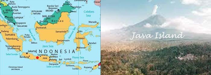 Island-Java