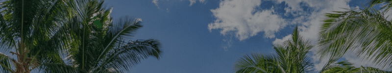 新合作飯店 (800 x 150 piksel)